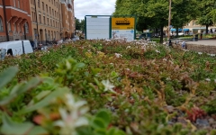 Siirtyminen referenssiin Nordic Green Roof® maksaruohoviherkatot raitiovaunupysäkeillä sivustolla eg-trading.fi.