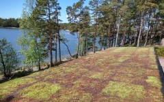 Siirtyminen referenssiin Nordic Green Roof® maksaruohoviherkatto Skåldössä sivustolla eg-trading.fi.