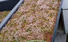 Siirtyminen referenssiin Nordic Green Roof® maksaruohoviherkatto sivustolla eg-trading.fi.