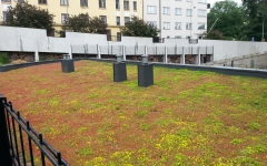 Siirtyminen referenssiin Nordic Green Roof® maksaruohoviherkatto ja Diadem-kattopuutarha sivustolla eg-trading.fi.