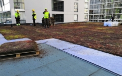 Siirtyminen referenssiin Nordic Green Roof® maksaruohoviherkatto sivustolla eg-trading.fi.