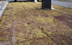 Siirtyminen referenssiin Nordic Green Roof® maksaruohoviherkatto sivustolla eg-trading.fi.