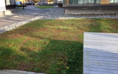 Siirtyminen referenssiin Nordic Green Roof® maksaruohomatto maa-asennus sivustolla eg-trading.fi.