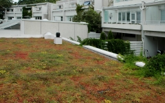 Siirtyminen referenssiin Nordic Green Roof® maksaruohoviherkattoja Merivalkamassa sivustolla eg-trading.fi.