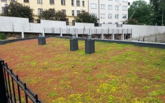 Nordic Green Roof® - EG-Trading Oy