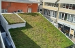 Valmis asennettu Nordic Green Roof maksaruohoviherkatto Casagrande-talon katolla. Asennnuksen on suorittanut Eg-Trading Oy.