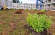 Nordic Green Roof -maksaruohomatto ja biomoduulit asennettuna paikoitushallin katolle. Asentaja Eg-Trading Oy.