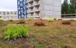 Nordic Green Roof -maksaruohomatto ja biomoduulit asennettuna paikoitushallin katolle. Asentaja Eg-Trading Oy.