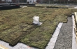 Nordic Green Roof® maksaruohomattoa asennetaan Turussa. Asentaja Eg-Trading Oy.