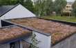 Nordic Green Roof® maksaruohomatto kukkii heinäkuussa vaaleanpunaisena. Asentaja Eg-Trading Oy.