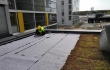 Nordic Green Roof® maksaruohomattoa asennetaan vedenpitomaton päälle. Eg-Trading Oy.