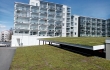 Valmis Nordic Green Roof® maksaruohoviherkatto. Asentaja Eg-trading Oy.