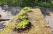 Nordic Green Roof® maksaruohomatot ja biomoduulit asennettuna Vuosaaren huipun opaskonttien katoille. Asennus Eg-Trading Oy.