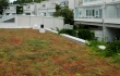 Nordic Green Roof -maksaruohomatto asennettuna merivalkamassa. Asentaja Eg-Trading Oy.