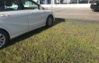 Ecoraster maakennot asennettuna nurmitäytöllä autoliikkeen paikoitusalueelle..