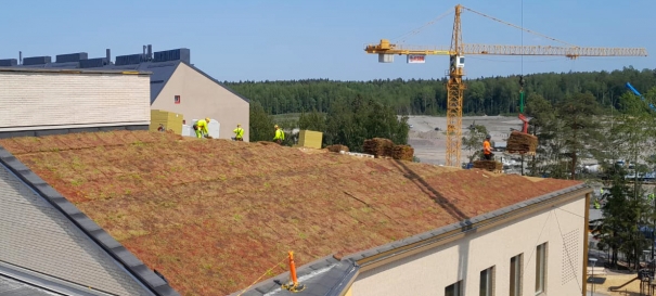 Siirtyminen referenssiin Kuninkaantammen koulun ja päiväkodin maksaruohoviherkatto ja niittyviherkatto sivustolla eg-trading.fi.