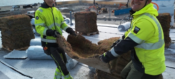 Siirtyminen referenssiin Nordic Green Roof® maksaruohoviherkatto Verkkosaaren päiväkoti sivustolla eg-trading.fi.