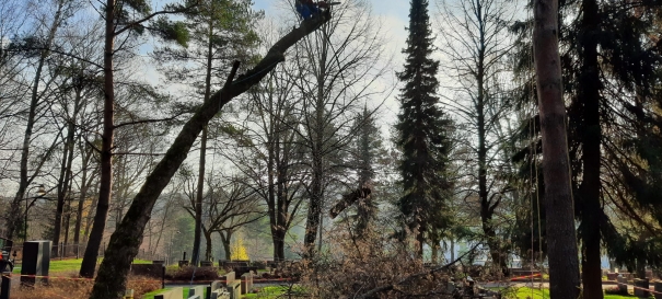 Siirtyminen referenssivalikkoon Puunhoito/arboristityöt sivustolla eg-trading.fi.