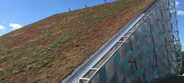 Siirtyminen referenssiin Nordic Green Roof® kalteva maksaruohoviherkatto sivustolla eg-trading.fi.