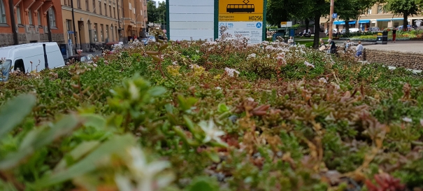 Siirtyminen referenssiin Nordic Green Roof® maksaruohoviherkatot raitiovaunupysäkeillä sivustolla eg-trading.fi.