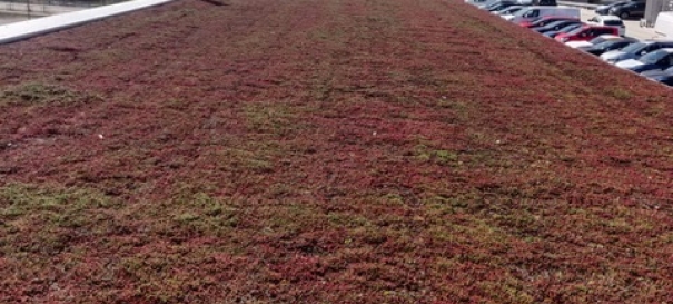 Siirtyminen referenssiin Nordic Green Roof® maksaruohoviherkatto Espoossa sivustolla eg-trading.fi.