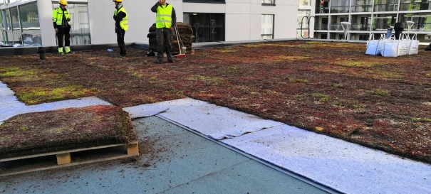 Siirtyminen referenssiin Nordic Green Roof® maksaruohoviherkatto sivustolla eg-trading.fi.