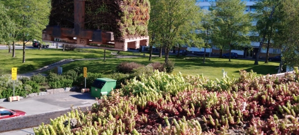 Siirtyminen referenssiin Nordic Green Roof® maksaruohoviherkatto Vaasassa sivustolla eg-trading.fi.