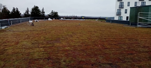 Siirtyminen referenssiin Nordic Green Roof® maksaruohoviherkatto Kangasalaparkki sivustolla eg-trading.fi.