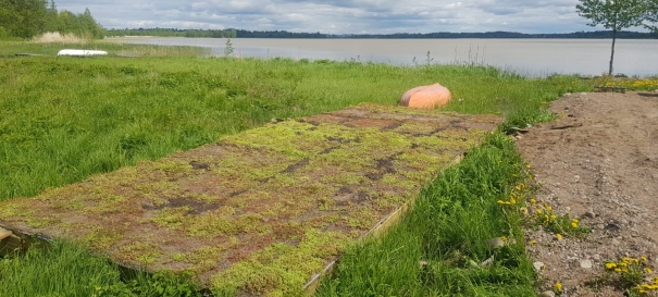 Siirtyminen referenssiin Nordic Green Roof® maksaruohomatto lintusaaressa sivustolla eg-trading.fi.