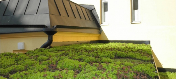 Siirtyminen referenssiin Nordic Green Roof maksaruohokatto Tehtaankadulla sivustolla eg-trading.fi.a