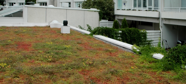 Siirtyminen referenssiin Nordic Green Roof® maksaruohoviherkattoja Merivalkamassa sivustolla eg-trading.fi.