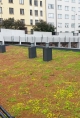 Nordic Green Roof® - EG-Trading Oy